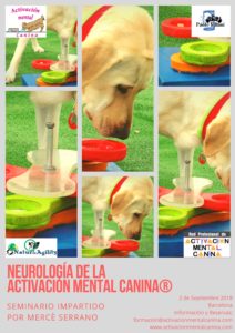 Cartel Seminario Neurología de la Activación Mental Canina