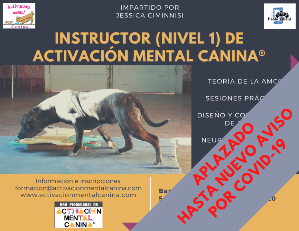 Cartel Curso Instructor AMC 2020-2021 (APLAZADO)