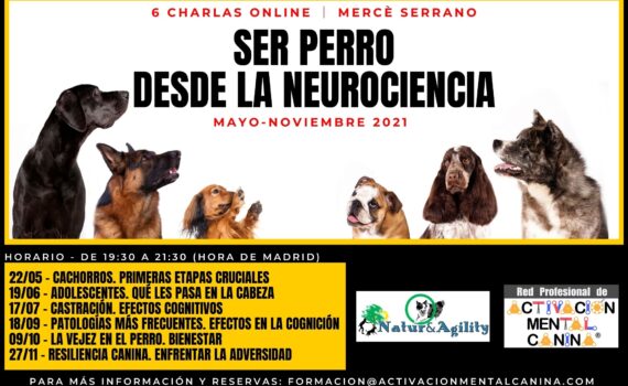 Cartel Charlas Online - Ser Perro desde la Neurociencia