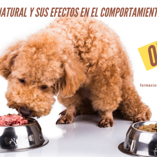 Cartel Evento Seminario Nutrición Natural