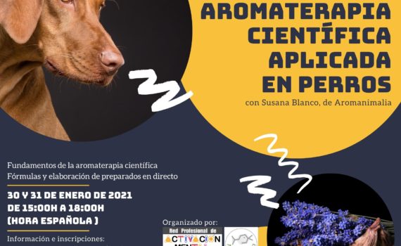 Cartel Seminario Aromaterapia Científica aplicada en perros
