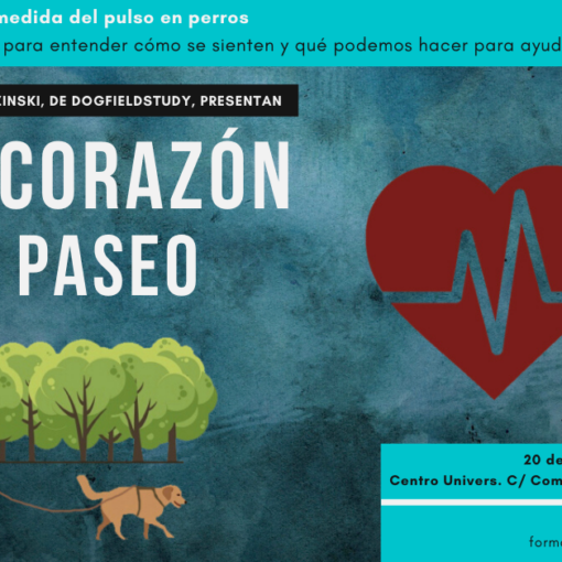Cartel Seminario DogFieldStudy