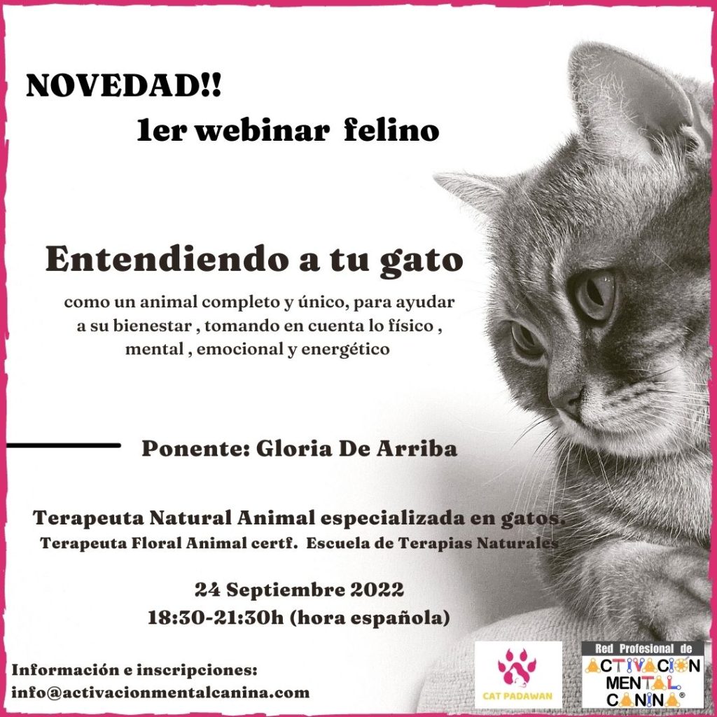 Entendiendo a tu gato, con Gloria de Arriba @ Seminario online (vía Zoom)