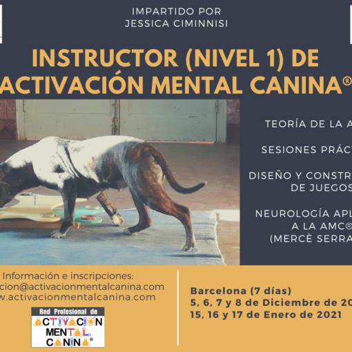 Cartel Curso Instructor AMC 2020-2021