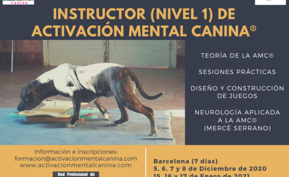 Cartel Curso Instructor AMC 2020-2021
