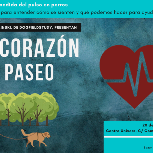 Cartel Seminario "En el Corazón del Paseo", de DogFieldStudy